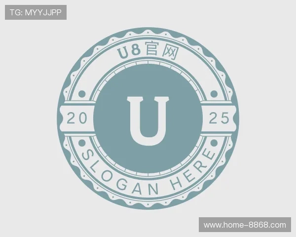 解读U8国际